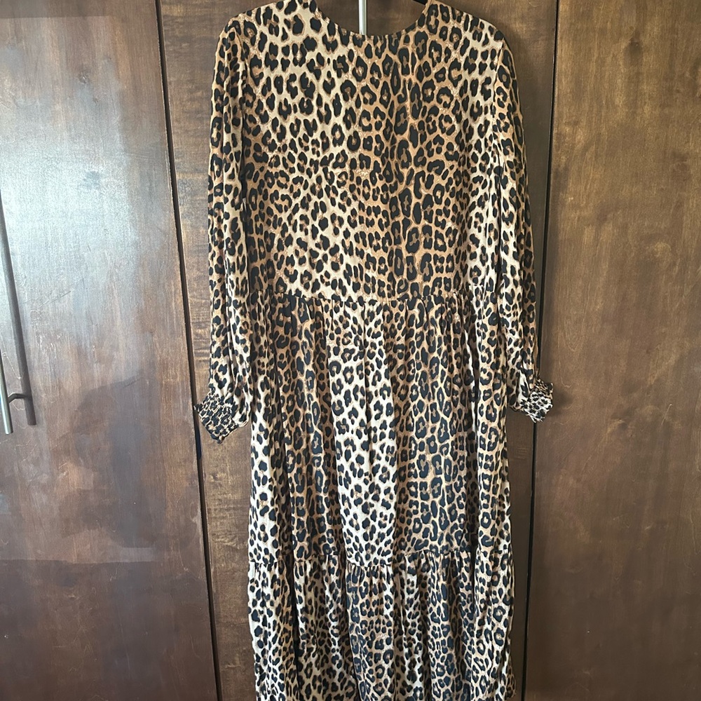 H&M Leopard Print Long Sleeve Maxi Dress